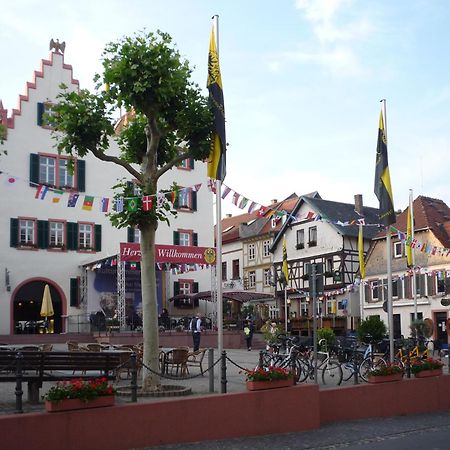 Ferienwohnung Marktplatz أوبنهايم المظهر الخارجي الصورة